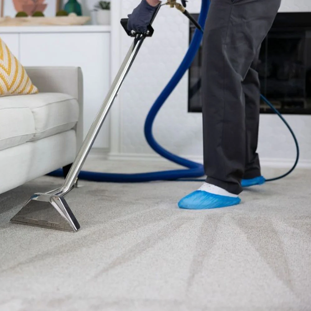 Carpet Cleaning Services in Orange County  