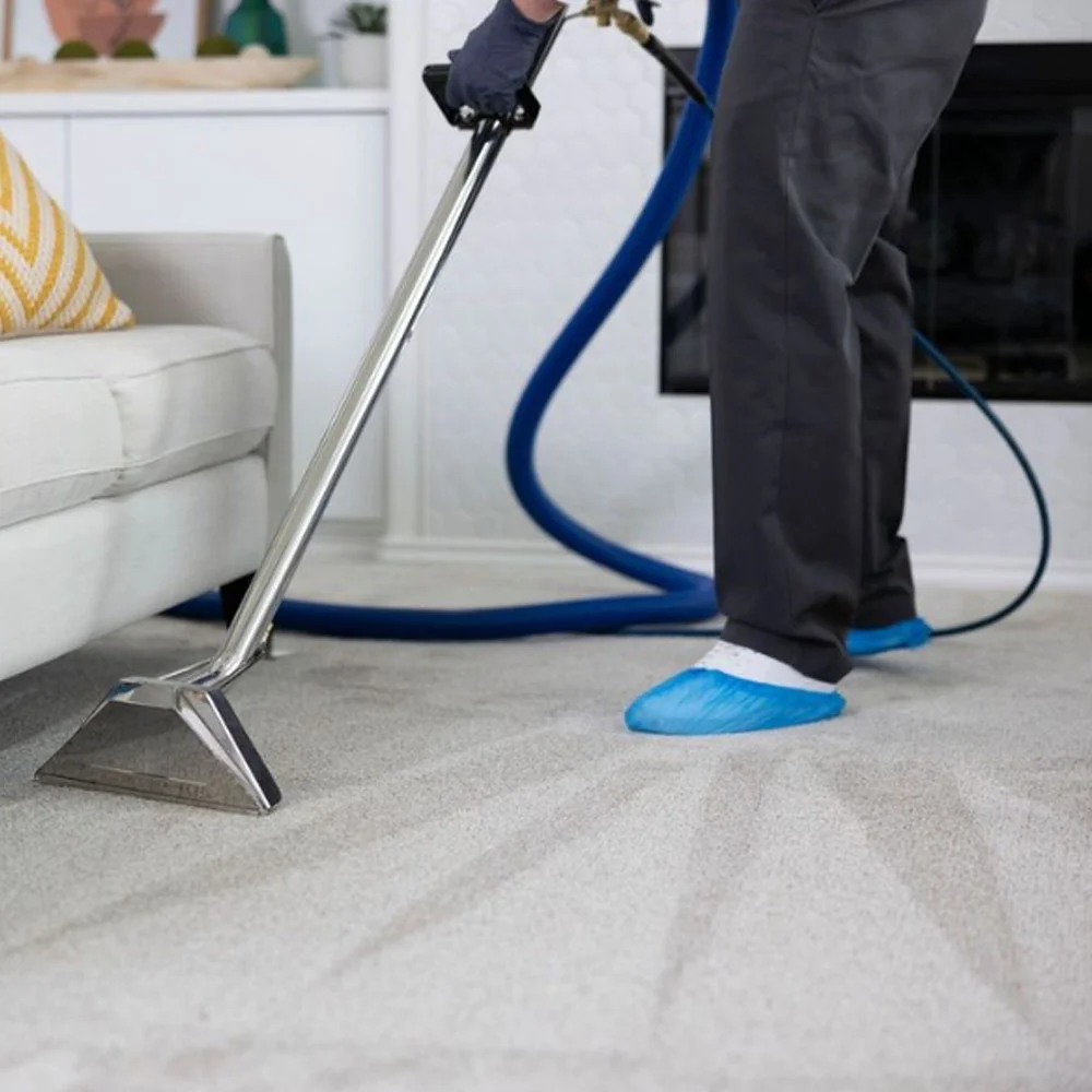 Carpet Cleaning Services in Las Vegas